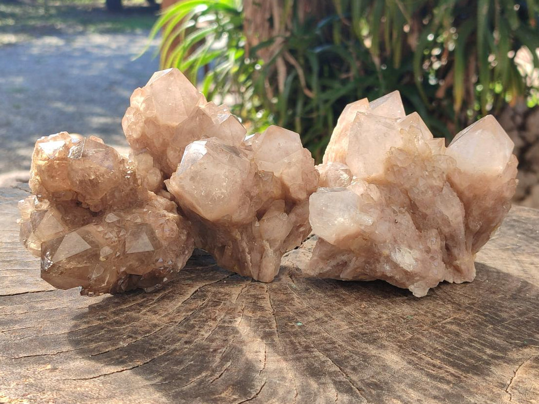Natural Cascading White Phantom Smokey Luena Quartz Clusters x 3 From Luena, Congo - Toprock Gemstones and Minerals 