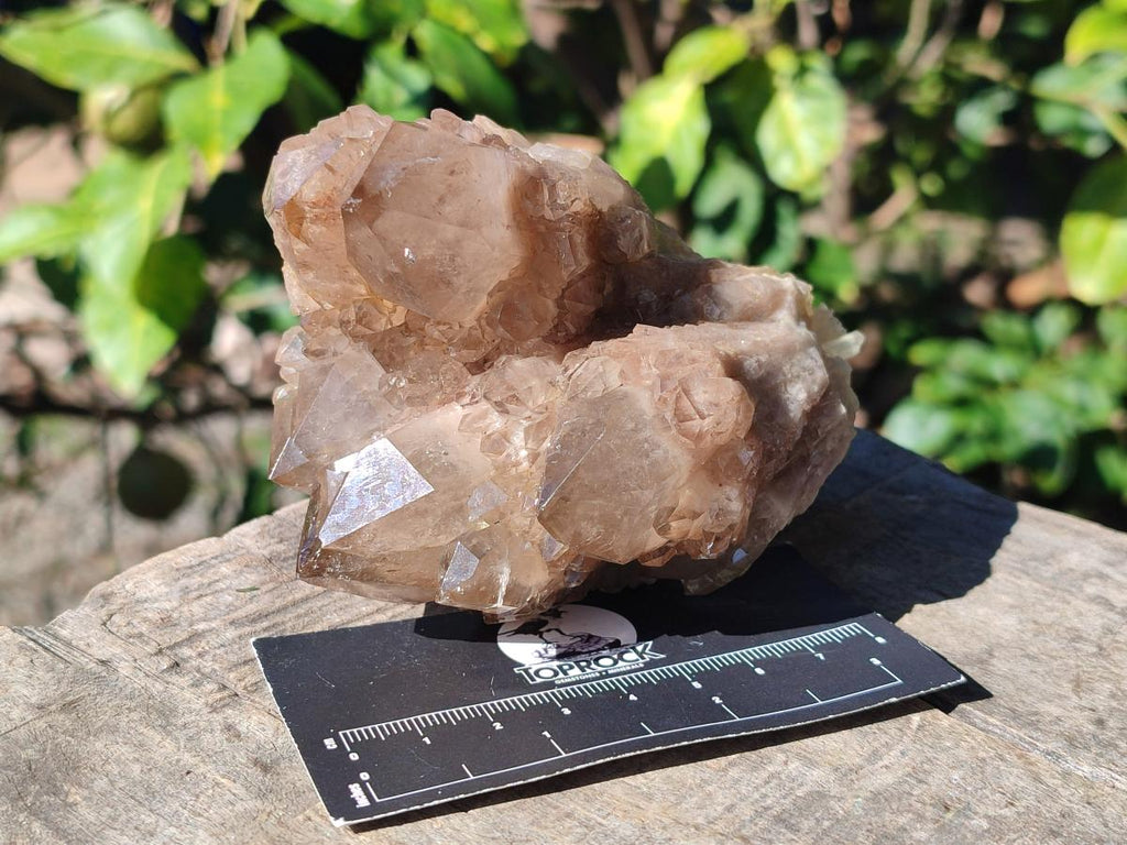 Natural Cascading White Phantom Smokey Luena Quartz Clusters x 3 From Luena, Congo - Toprock Gemstones and Minerals 