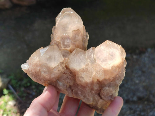Natural Cascading White Phantom Smokey Luena Quartz Clusters x 3 From Luena, Congo - Toprock Gemstones and Minerals 