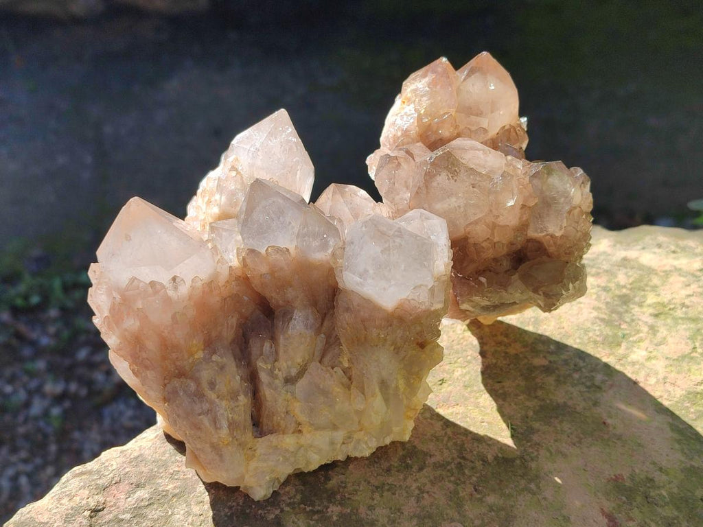 Natural Cascading White Phantom Smokey Luena Quartz Clusters x 3 From Luena, Congo - Toprock Gemstones and Minerals 