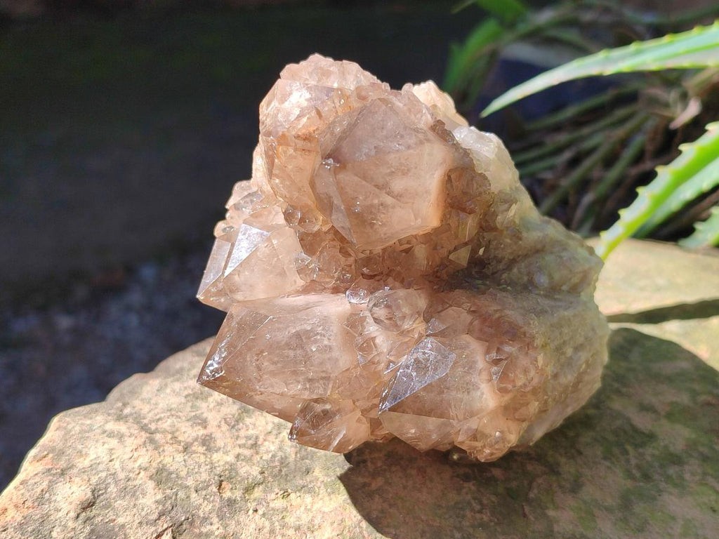 Natural Cascading White Phantom Smokey Luena Quartz Clusters x 3 From Luena, Congo - Toprock Gemstones and Minerals 
