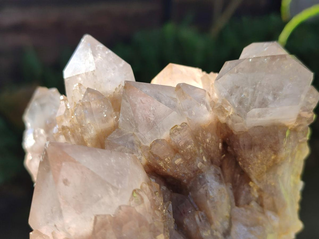 Natural Cascading White Phantom Smokey Luena Quartz Clusters x 3 From Luena, Congo - Toprock Gemstones and Minerals 