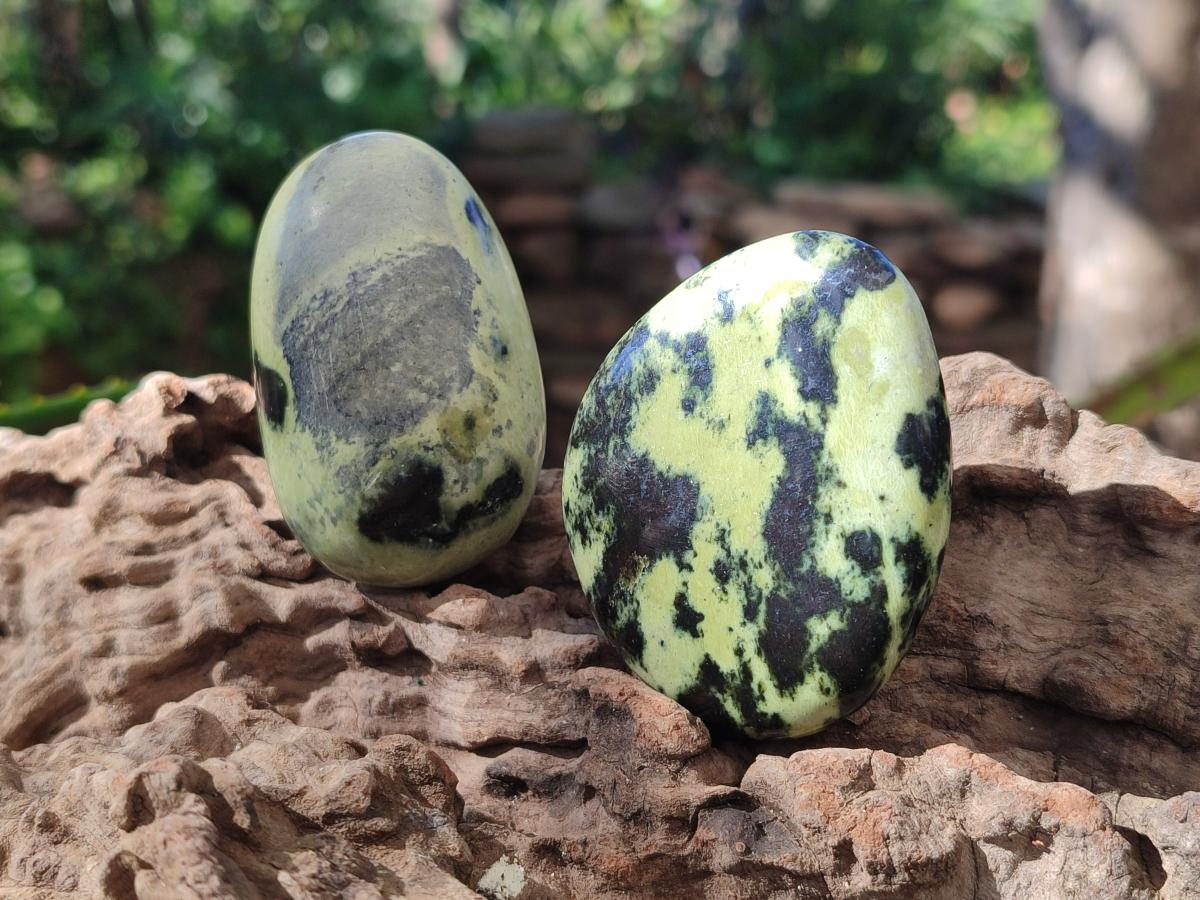 Polished Leopard Stone Palm Stones x 6 From Zimbabwe - Toprock Gemstones and Minerals 