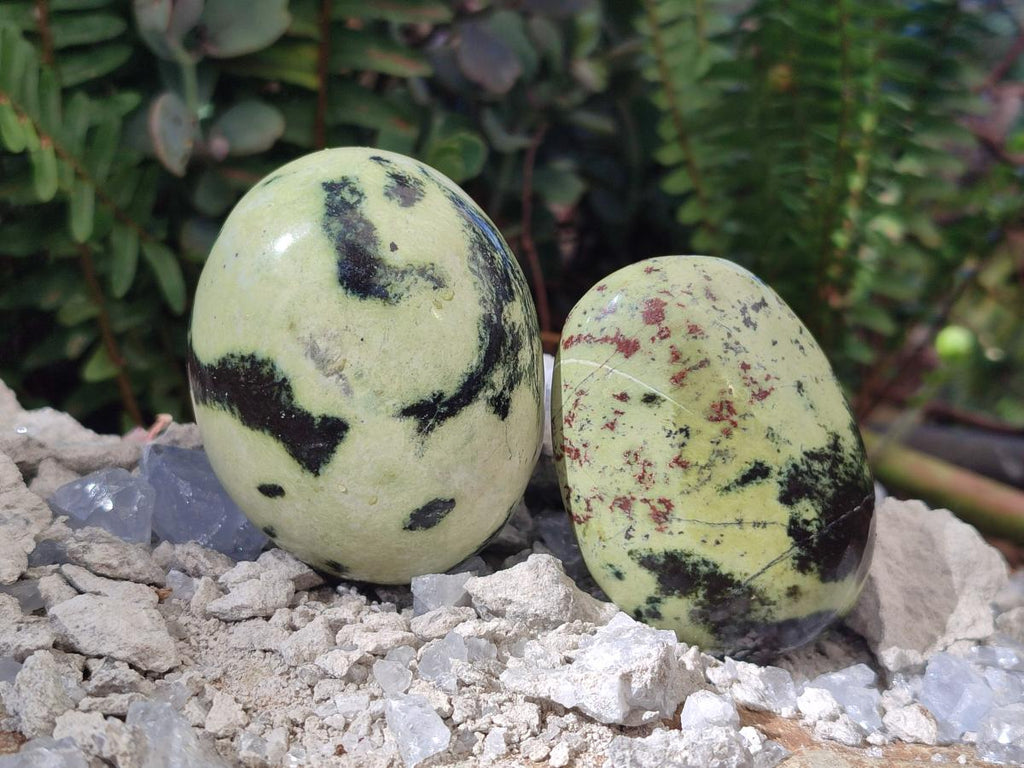 Polished Leopard Stone Palm Stones x 6 From Zimbabwe - Toprock Gemstones and Minerals 