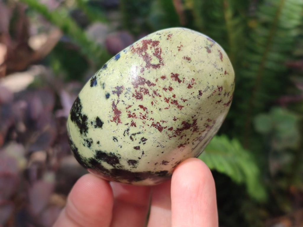 Polished Leopard Stone Palm Stones x 6 From Zimbabwe - Toprock Gemstones and Minerals 