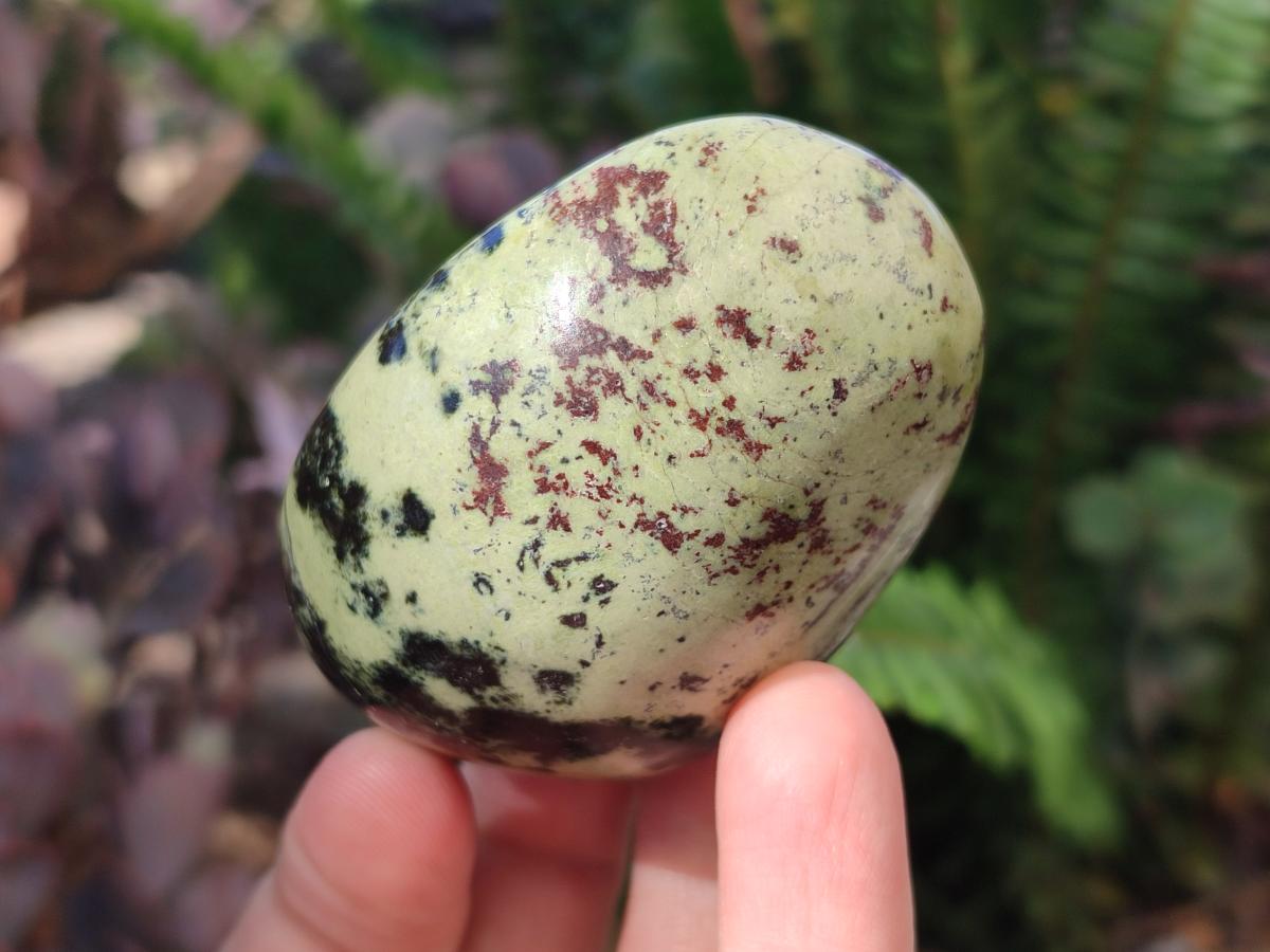 Polished Leopard Stone Palm Stones x 6 From Zimbabwe - Toprock Gemstones and Minerals 