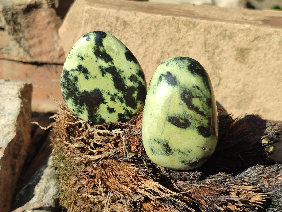 Polished Leopard Stone Palm Stones x 6 From Zimbabwe - Toprock Gemstones and Minerals 