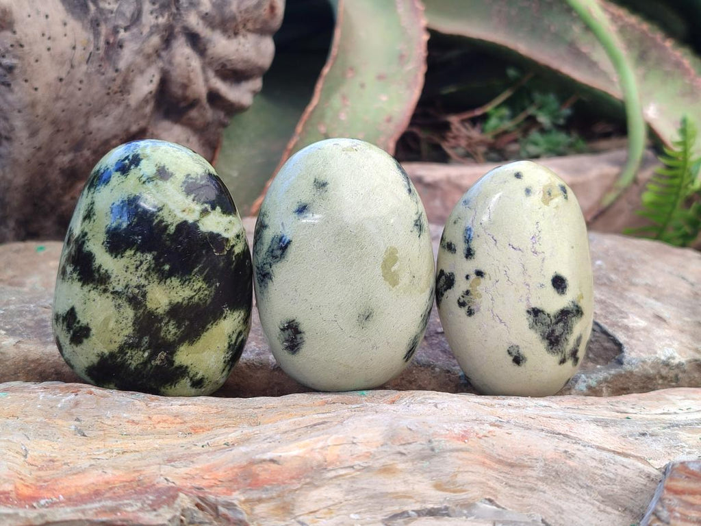 Polished Leopard Stone Palm Stones x 6 From Zimbabwe - Toprock Gemstones and Minerals 