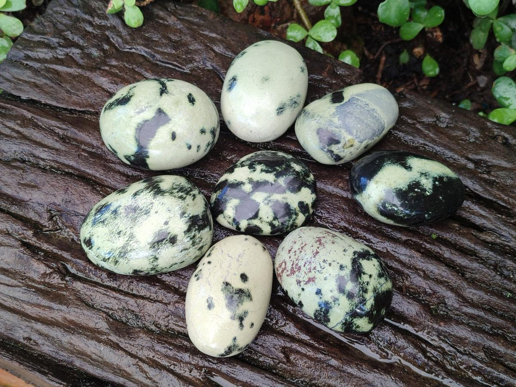 Polished Leopard Stone Palm Stones x 6 From Zimbabwe - Toprock Gemstones and Minerals 