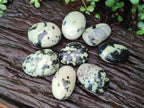 Polished Leopard Stone Palm Stones x 6 From Zimbabwe - Toprock Gemstones and Minerals 