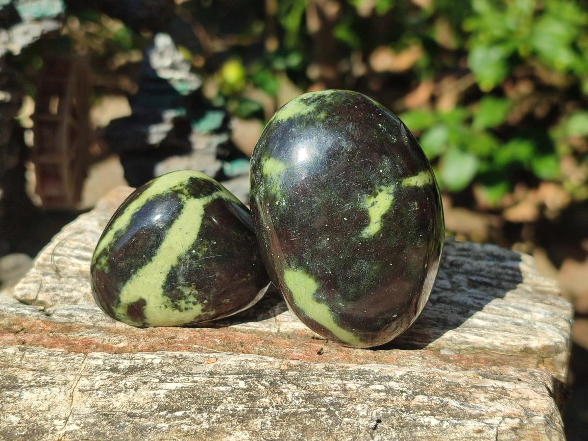 Polished Leopard Stone Palm Stones x 6 From Zimbabwe - Toprock Gemstones and Minerals 