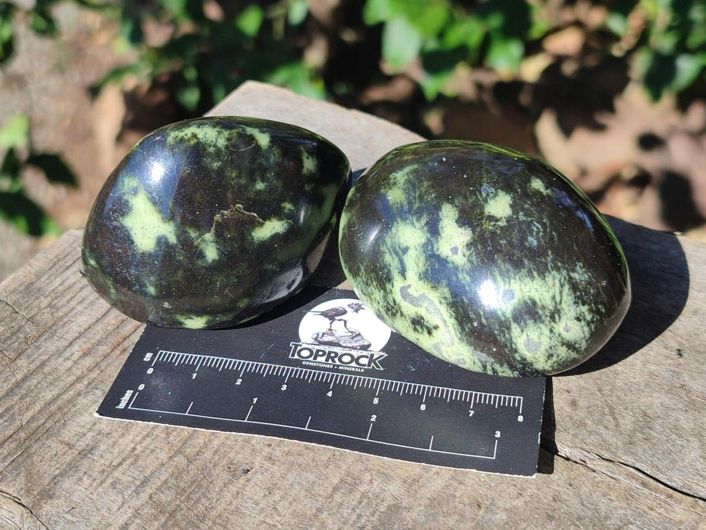 Polished Leopard Stone Palm Stones x 6 From Zimbabwe - Toprock Gemstones and Minerals 
