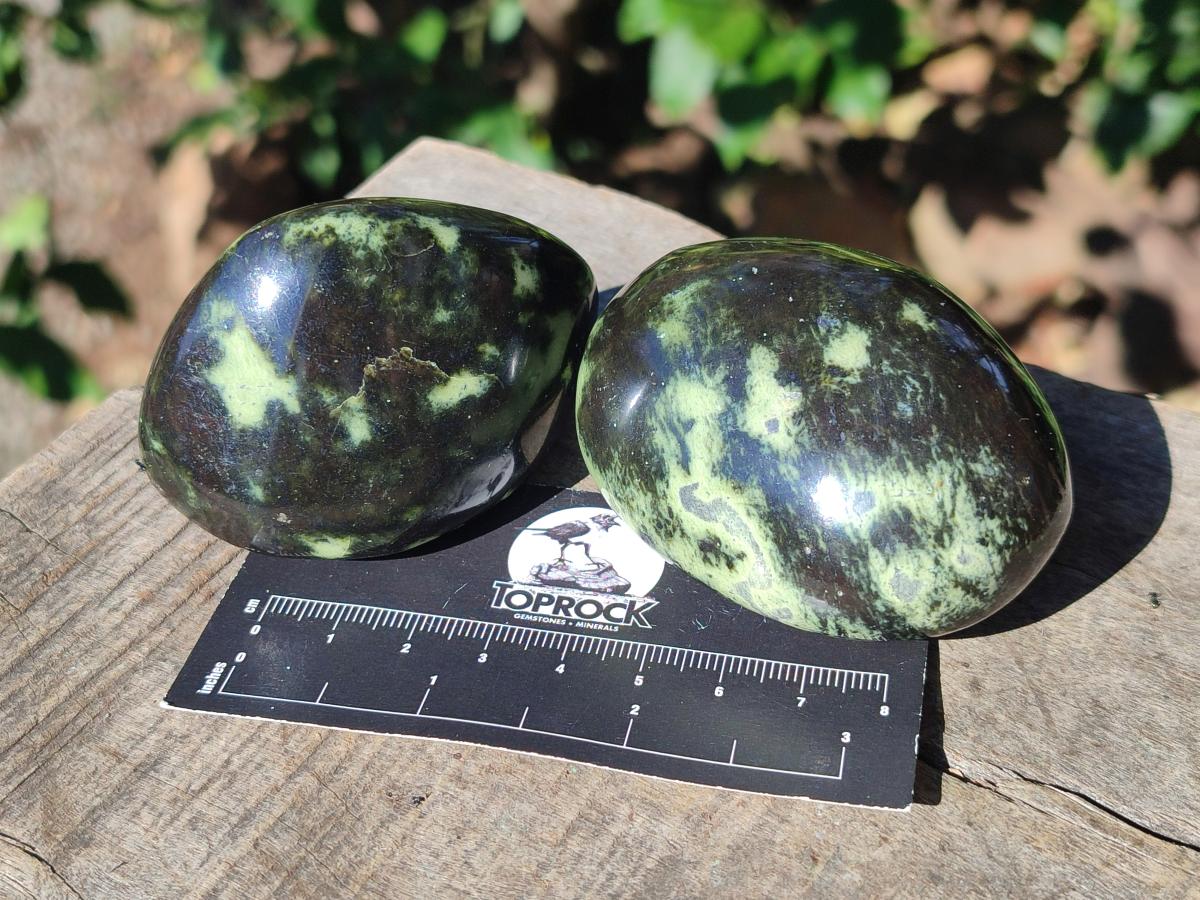 Polished Leopard Stone Palm Stones x 6 From Zimbabwe - Toprock Gemstones and Minerals 