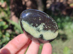 Polished Leopard Stone Palm Stones x 6 From Zimbabwe - Toprock Gemstones and Minerals 