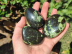 Polished Leopard Stone Palm Stones x 6 From Zimbabwe - Toprock Gemstones and Minerals 