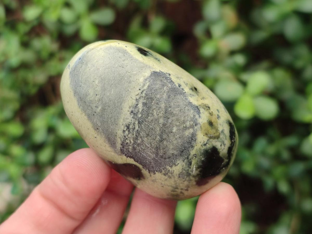 Polished Leopard Stone Palm Stones x 6 From Zimbabwe - Toprock Gemstones and Minerals 