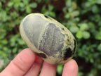 Polished Leopard Stone Palm Stones x 6 From Zimbabwe - Toprock Gemstones and Minerals 