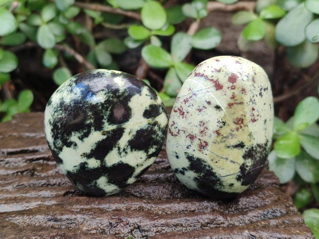 Polished Leopard Stone Palm Stones x 6 From Zimbabwe - Toprock Gemstones and Minerals 