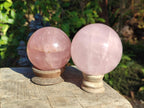 Polished Gemmy Star Rose Quartz Spheres x 2 From Madagascar - Toprock Gemstones and Minerals 