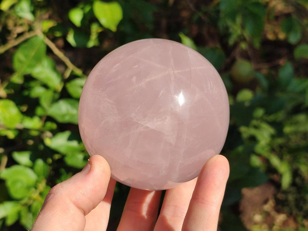 Polished Gemmy Star Rose Quartz Spheres x 2 From Madagascar - Toprock Gemstones and Minerals 