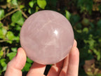 Polished Gemmy Star Rose Quartz Spheres x 2 From Madagascar - Toprock Gemstones and Minerals 