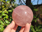 Polished Gemmy Star Rose Quartz Spheres x 2 From Madagascar - Toprock Gemstones and Minerals 