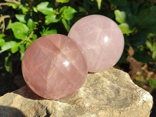 Polished Gemmy Star Rose Quartz Spheres x 2 From Madagascar - Toprock Gemstones and Minerals 