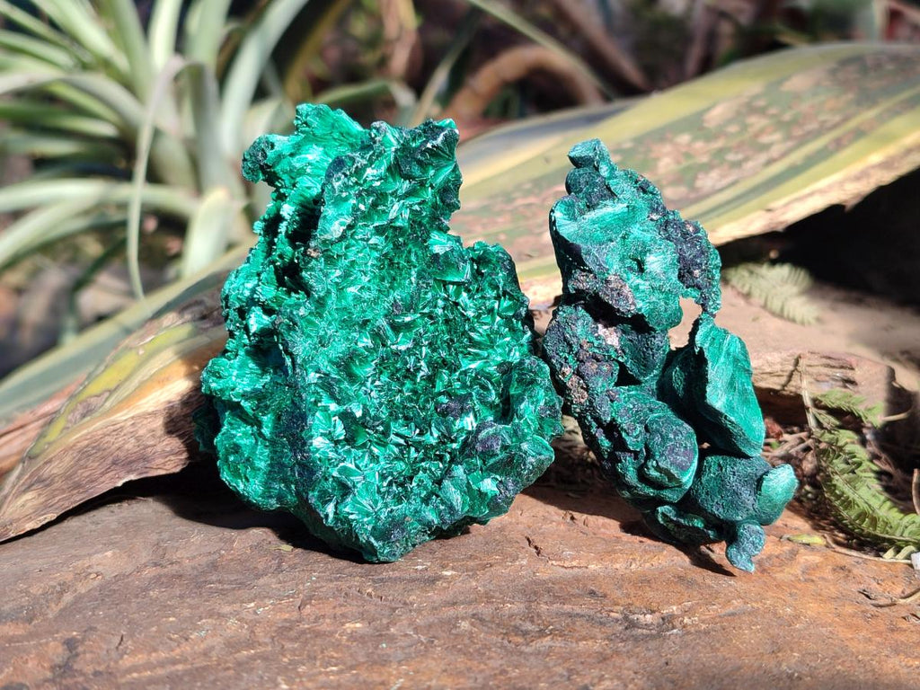 Natural Silky Malachite Specimens x 12 From Kasompe, Congo - Toprock Gemstones and Minerals 