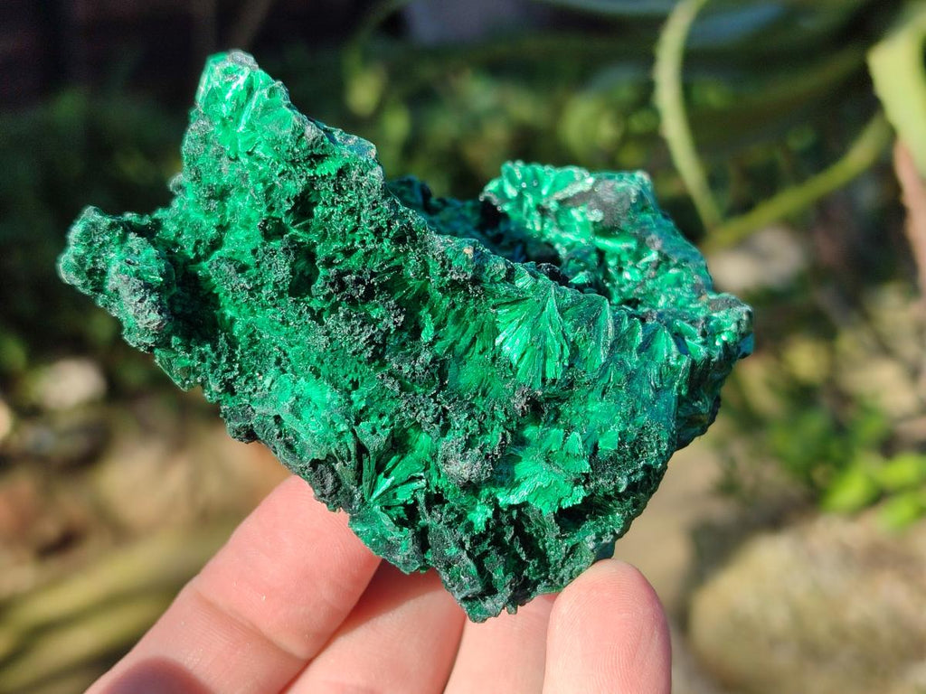 Natural Silky Malachite Specimens x 12 From Kasompe, Congo - Toprock Gemstones and Minerals 