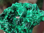 Natural Silky Malachite Specimens x 12 From Kasompe, Congo - Toprock Gemstones and Minerals 