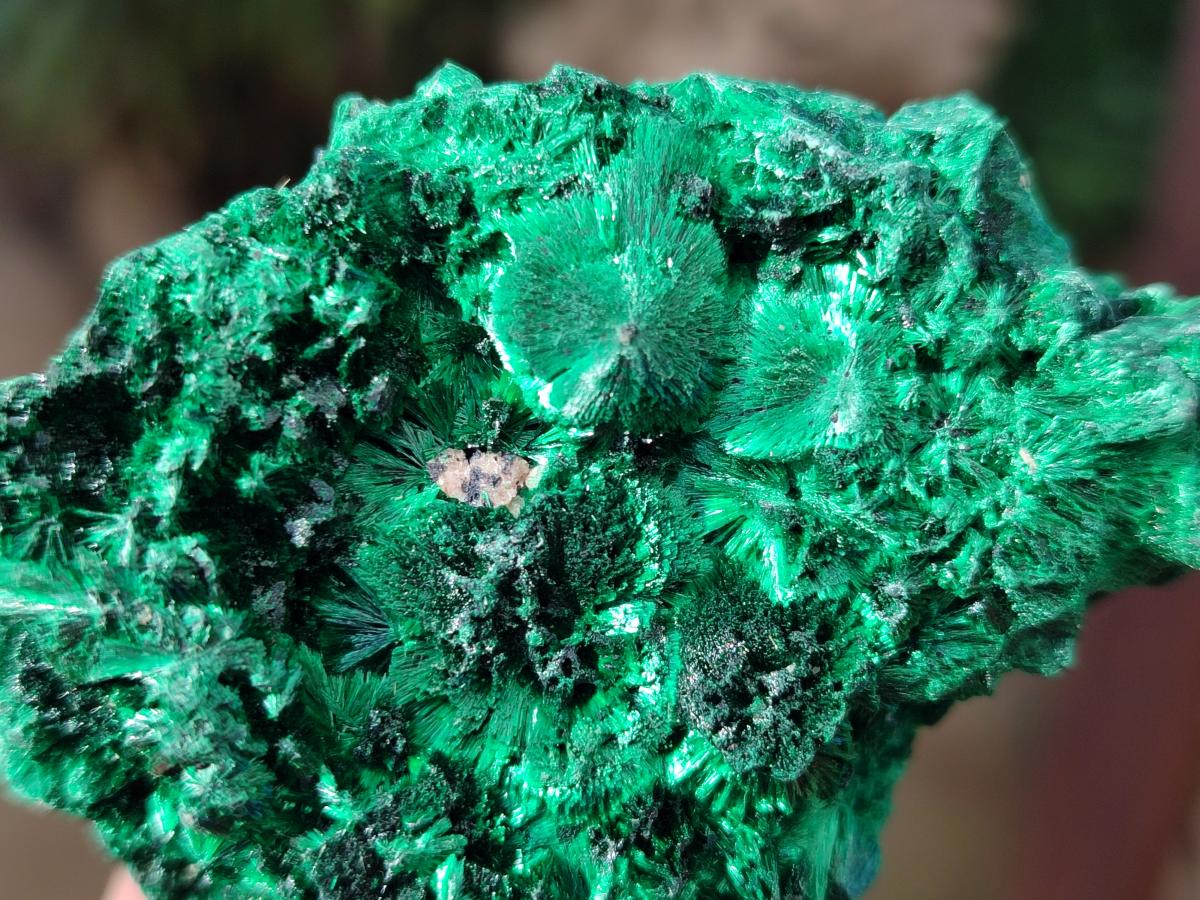 Natural Silky Malachite Specimens x 12 From Kasompe, Congo - Toprock Gemstones and Minerals 