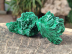 Natural Silky Malachite Specimens x 12 From Kasompe, Congo - Toprock Gemstones and Minerals 