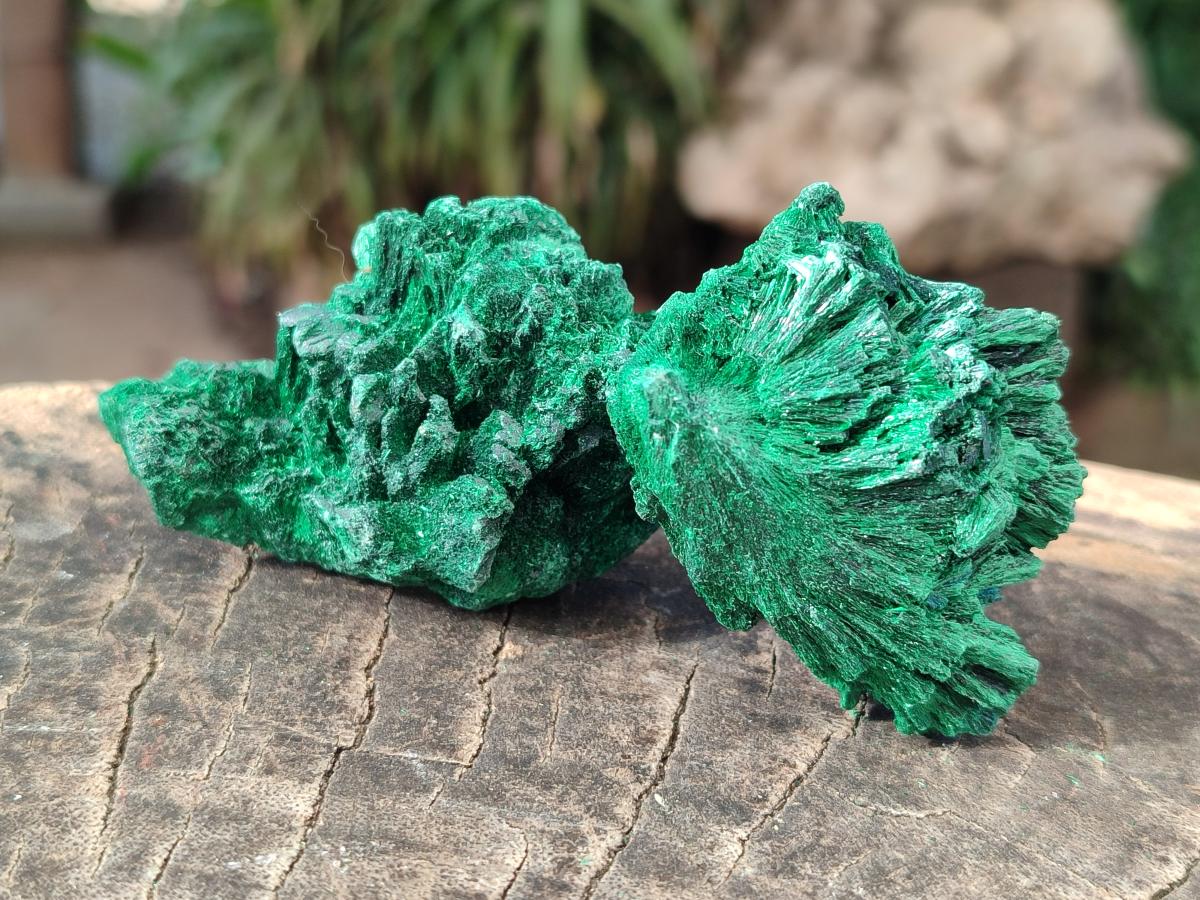 Natural Silky Malachite Specimens x 12 From Kasompe, Congo - Toprock Gemstones and Minerals 
