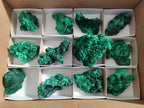 Natural Silky Malachite Specimens x 12 From Kasompe, Congo - Toprock Gemstones and Minerals 