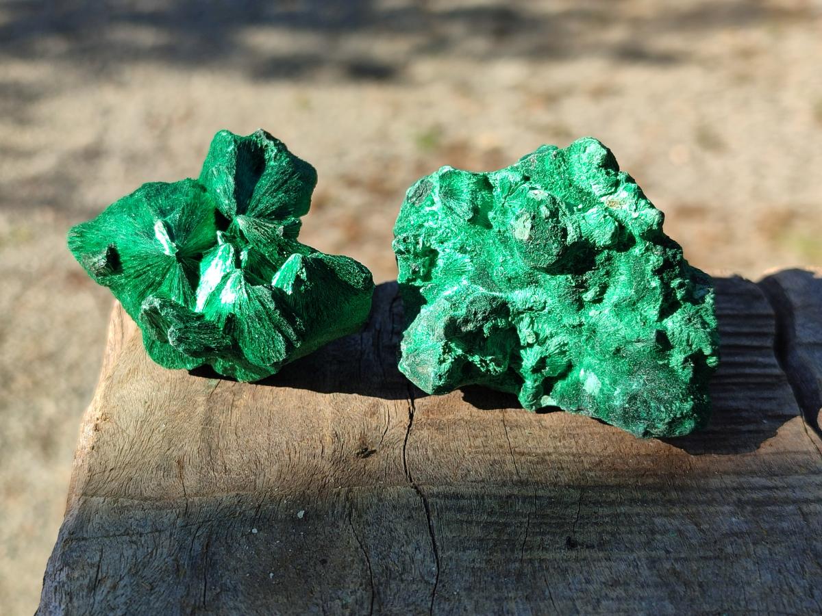 Natural Silky Malachite Specimens x 12 From Kasompe, Congo - Toprock Gemstones and Minerals 