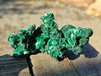 Natural Silky Malachite Specimens x 12 From Kasompe, Congo - Toprock Gemstones and Minerals 