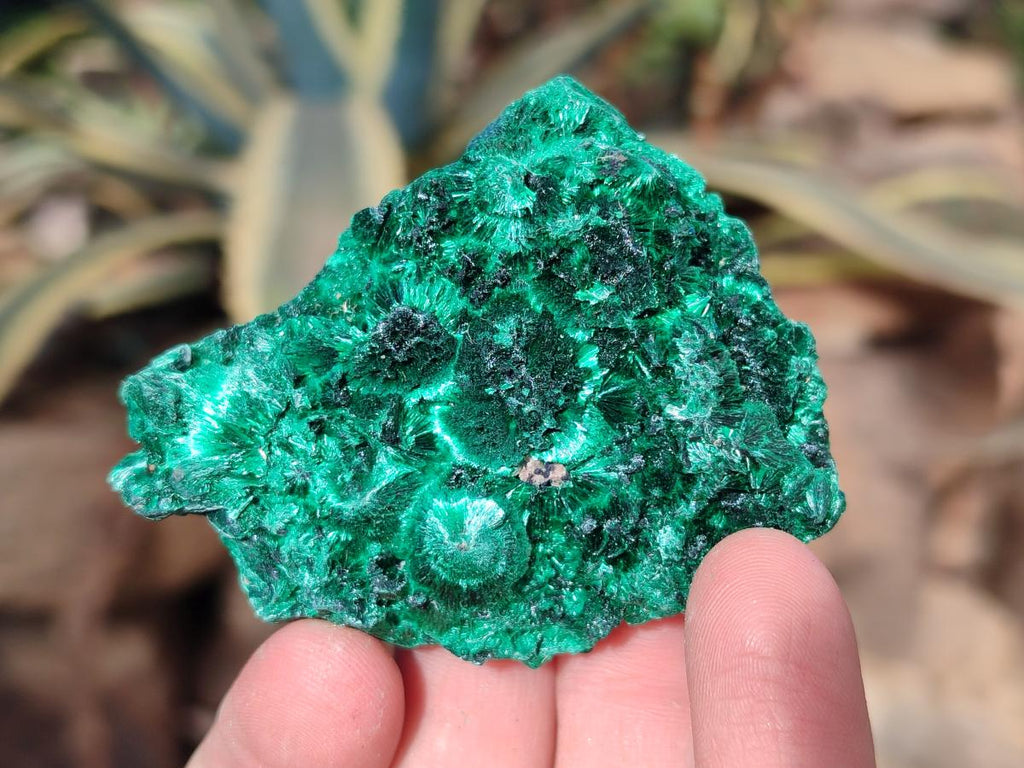 Natural Silky Malachite Specimens x 12 From Kasompe, Congo - Toprock Gemstones and Minerals 