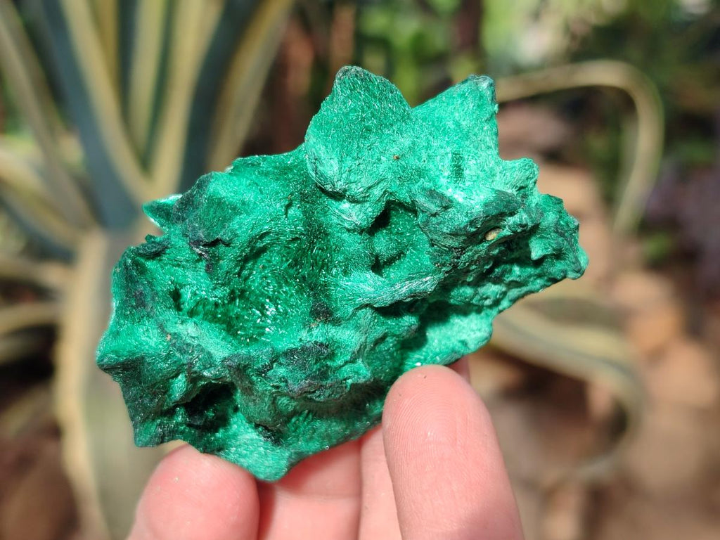 Natural Silky Malachite Specimens x 12 From Kasompe, Congo - Toprock Gemstones and Minerals 