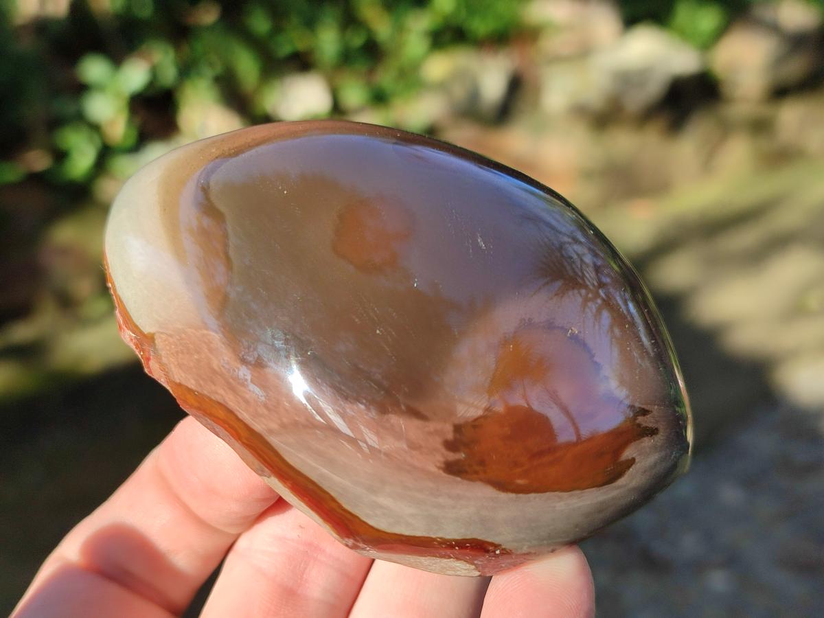 Polished On One Side Polychrome Jasper Nodules x 6 From NW Coast, Madagascar - Toprock Gemstones and Minerals 