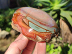 Polished On One Side Polychrome Jasper Nodules x 6 From NW Coast, Madagascar - Toprock Gemstones and Minerals 