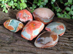 Polished On One Side Polychrome Jasper Nodules x 6 From NW Coast, Madagascar - Toprock Gemstones and Minerals 