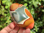 Polished On One Side Polychrome Jasper Nodules x 6 From NW Coast, Madagascar - Toprock Gemstones and Minerals 