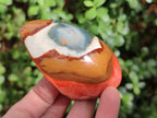 Polished On One Side Polychrome Jasper Nodules x 6 From NW Coast, Madagascar - Toprock Gemstones and Minerals 
