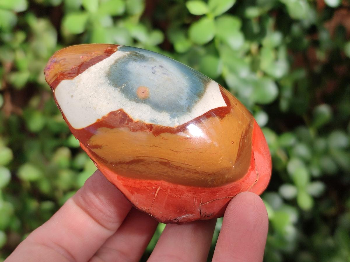 Polished On One Side Polychrome Jasper Nodules x 6 From NW Coast, Madagascar - Toprock Gemstones and Minerals 