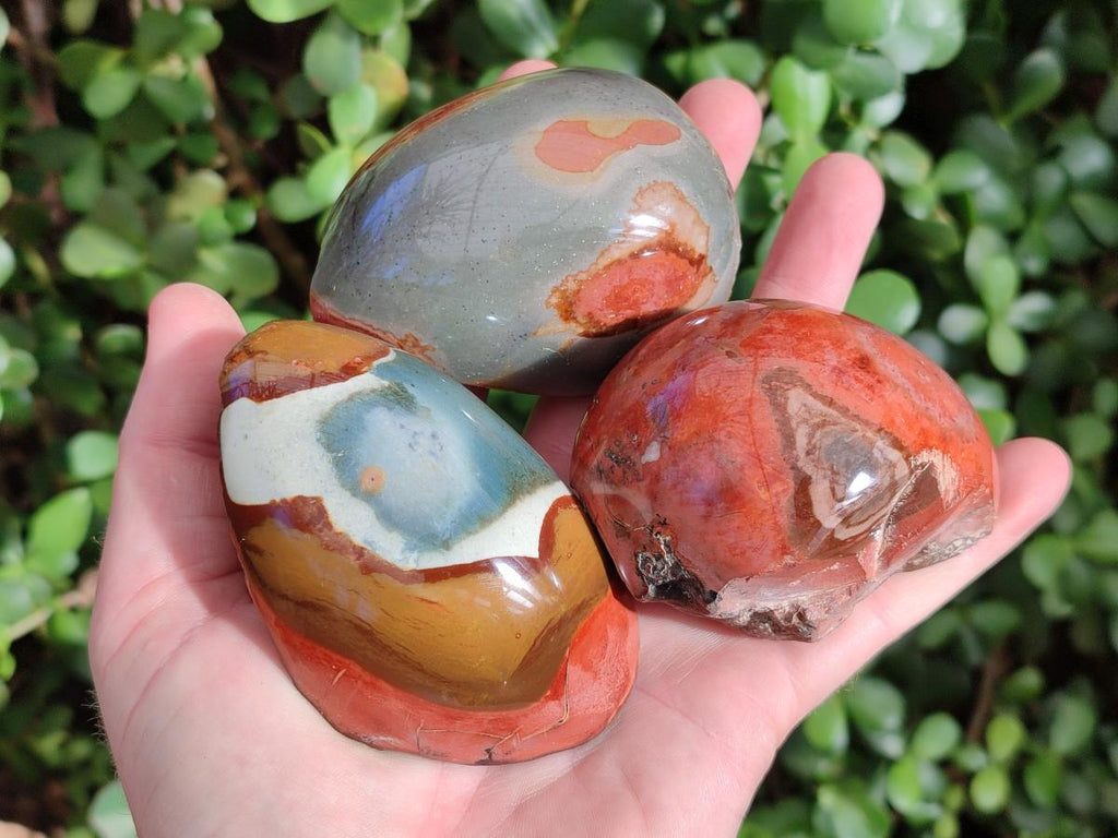 Polished On One Side Polychrome Jasper Nodules x 6 From NW Coast, Madagascar - Toprock Gemstones and Minerals 