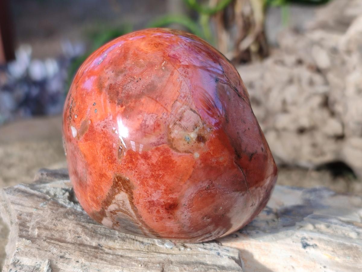 Polished On One Side Polychrome Jasper Nodules x 6 From NW Coast, Madagascar - Toprock Gemstones and Minerals 