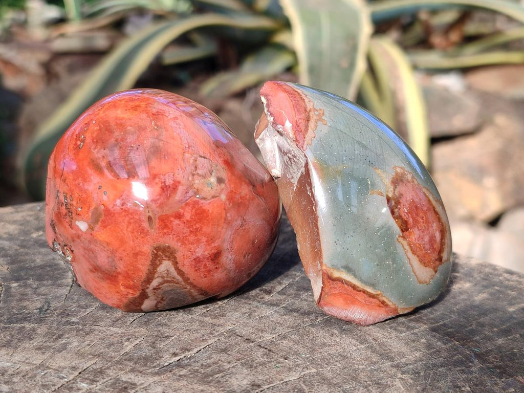 Polished On One Side Polychrome Jasper Nodules x 6 From NW Coast, Madagascar - Toprock Gemstones and Minerals 