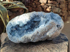 Natural XL Blue Celestite Geode Specimen x 1 From Sakoany, Madagascar - Toprock Gemstones and Minerals 
