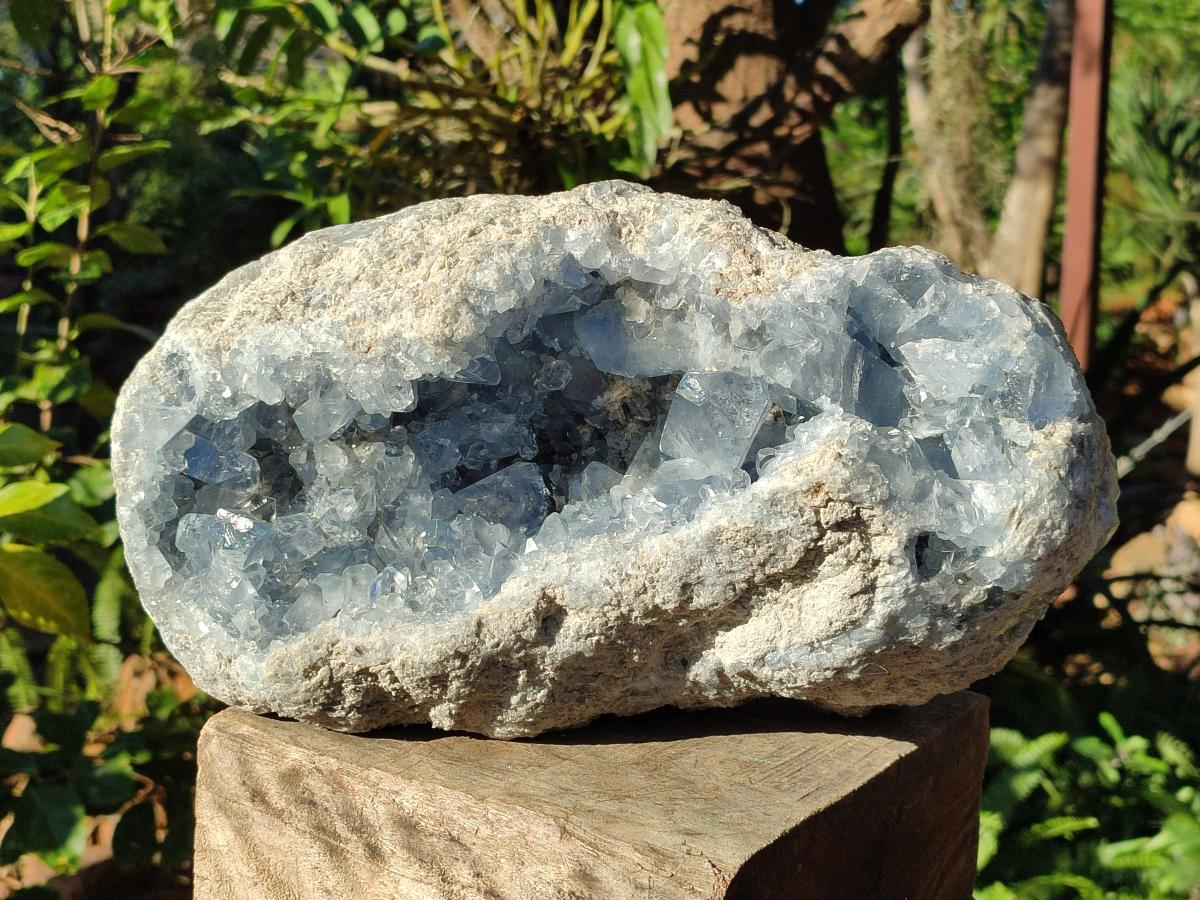 Natural XL Blue Celestite Geode Specimen x 1 From Sakoany, Madagascar - Toprock Gemstones and Minerals 