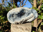 Natural XL Blue Celestite Geode Specimen x 1 From Sakoany, Madagascar - Toprock Gemstones and Minerals 